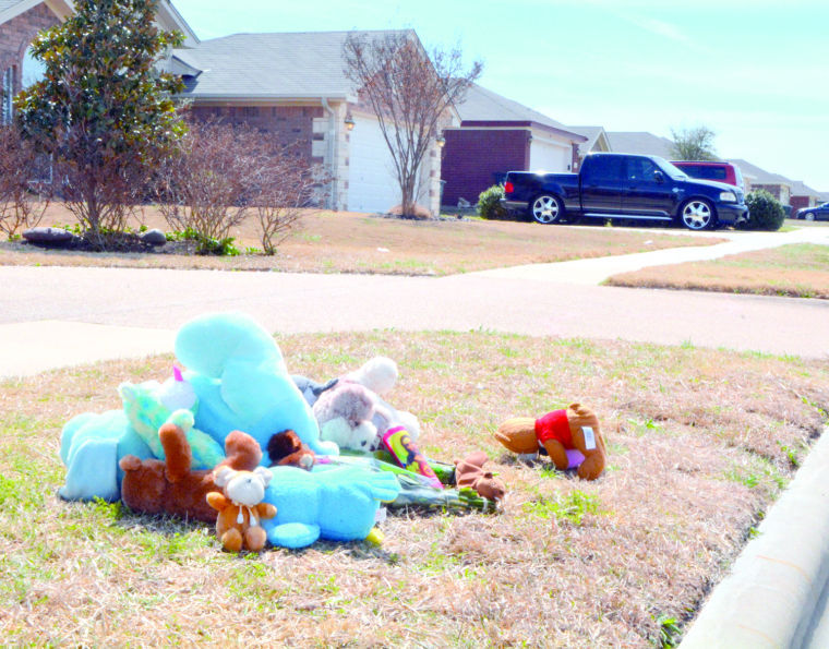 Dog attack memorial
